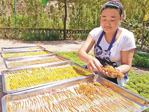 全国闻名文明村—柳家洼发展庭院经济